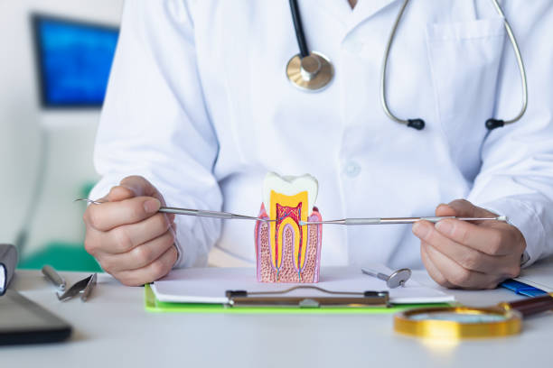 Best Emergency Treatment for Dental Infections or Abscesses in Saucier, MS